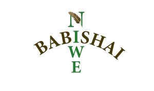 babishai logo jpeg