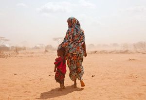 City of thorns_small