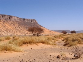 Sahara Desert picture