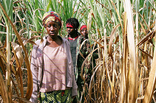 16589252842_ff77959d41_n