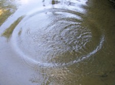 By Emilian Robert Vicol from Com. Balanesti, Romania (Circle-in-the-water-Wave-Rings_15482-480x360) [CC BY 2.0 (http://creativecommons.org/licenses/by/2.0)], via Wikimedia Commons