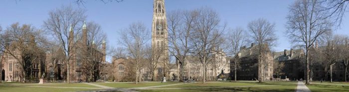 ALA 2017 Annual Conference will take place in Yale. Image courtesy of africanlit.org