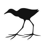 1098260_10151649259631169_564161567_n