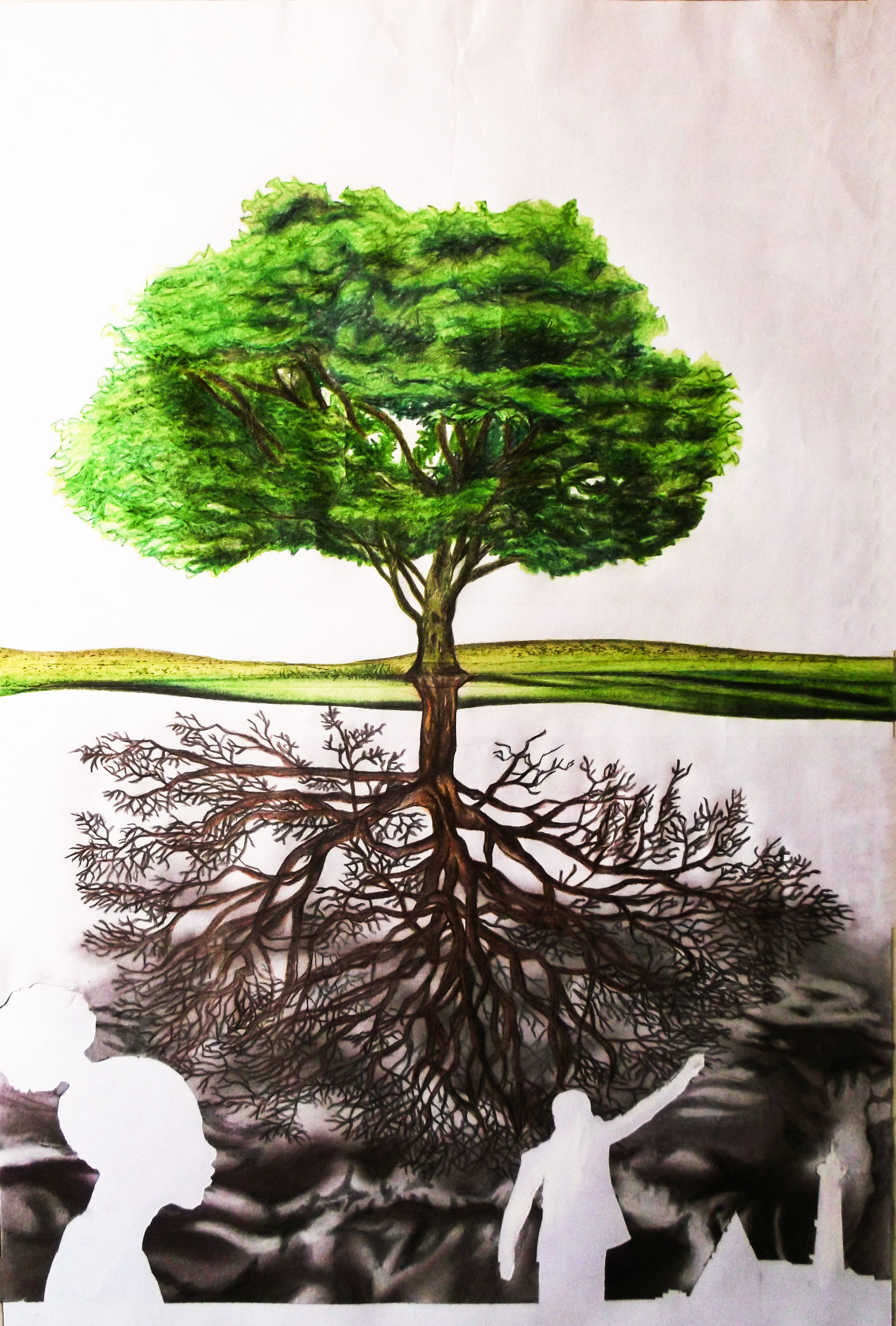 Green_pasture_edited