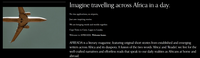 AFREADAAbout_KimNWoT